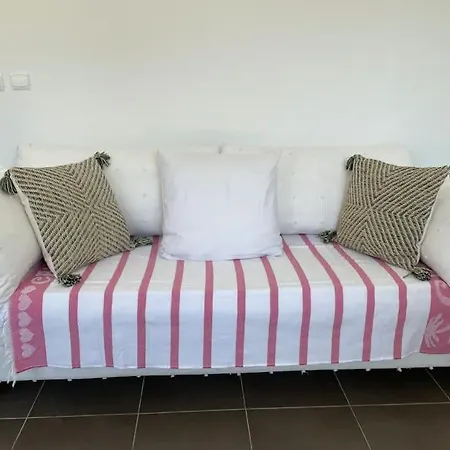 Appartement Toit Terrasse Dans Résidence Avec Piscine Cannes