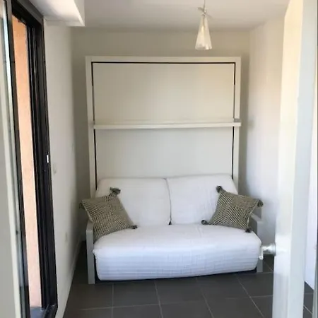 Toit Terrasse Dans Résidence Avec Piscine Appartement Cannes