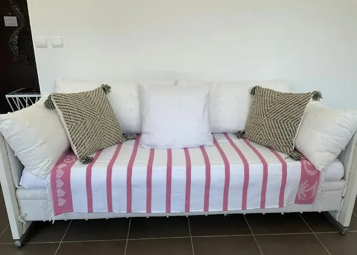 Apartment Toit Terrasse Dans Avec Piscine Cannes